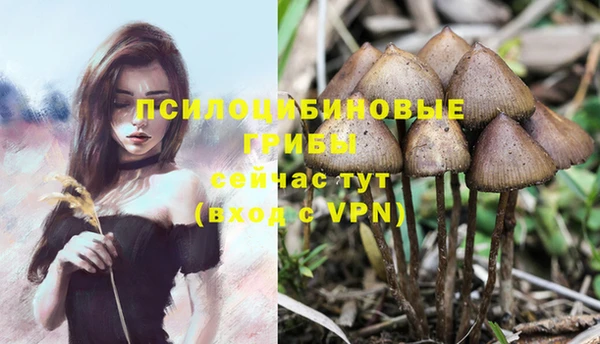 MESCALINE Дмитриев
