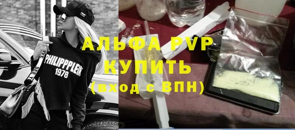СК Касимов
