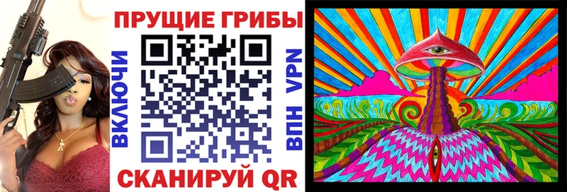 Галлюциногенные грибы Psilocybine cubensis  KRAKEN ТОР  Староминская 